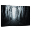 Strange Foggy Forest Path Wall Art