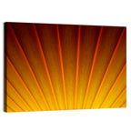Pleated Sunburst Illustration Wall Art
