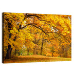 Golden Canopy in Autumn Park Wall Art