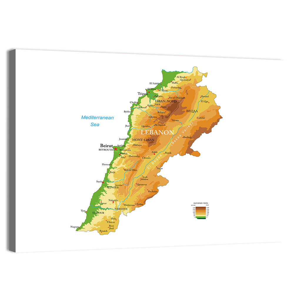 Lebanon Terrain Map Wall Art