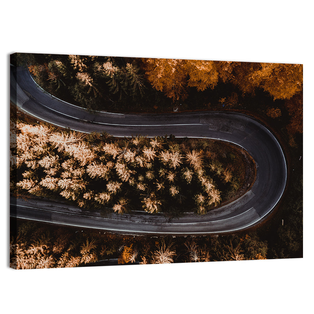 Hairpin Turn in Autumn Forest Wall Art, canvas print, landscape