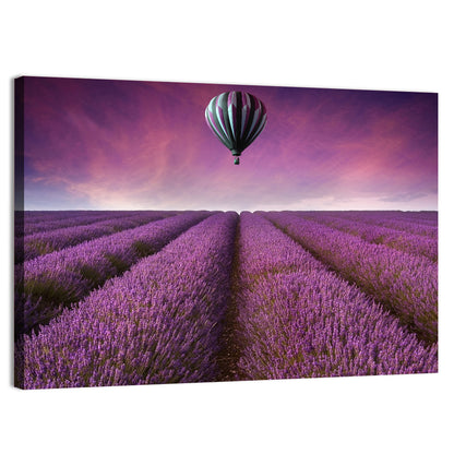 Hot Air Balloon Over Lavender Field Wall Art