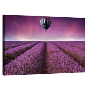 Air Balloon Above Lavender Field Wall Art