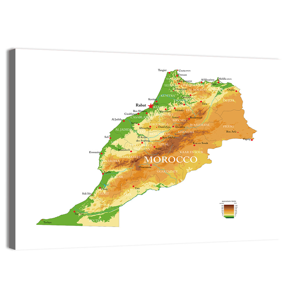 Morocco Topographic Map Wall Art, canvas print, landscape
