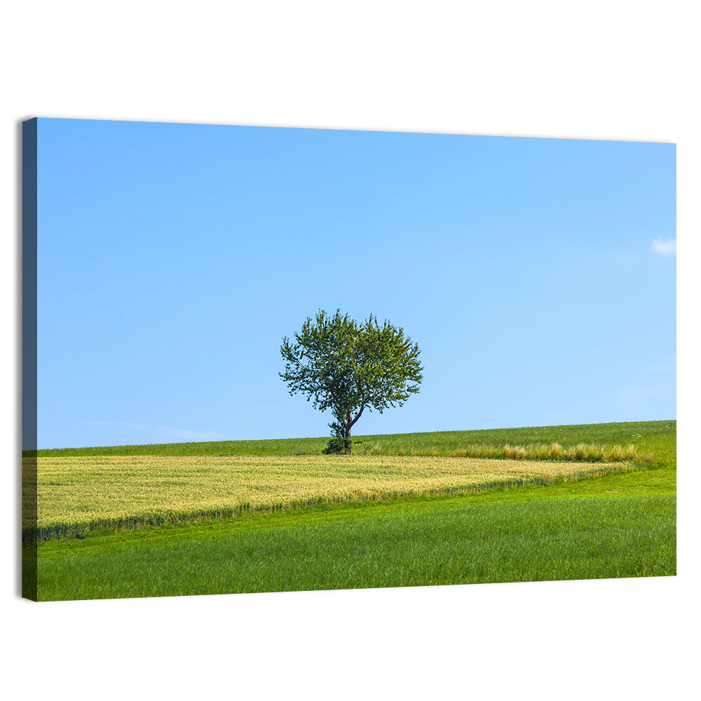 Solitary Tree on Rolling Meadow Wall Art