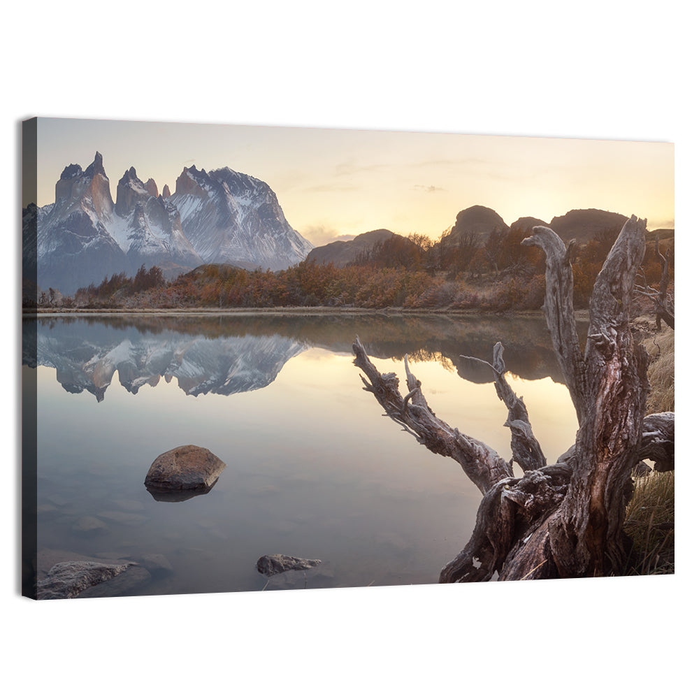 Cuernos Peaks and Driftwood, Pehoe Lake Wall Art, canvas print, landscape