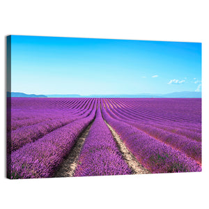 Lavender Flower Fields Wall Art