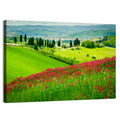 Tuscany Hill with Red Wildflowers Wall Art