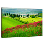 Tuscany Hill with Red Wildflowers Wall Art