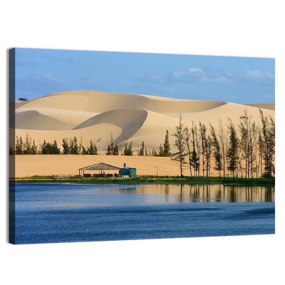 Mui Ne White Sand Dunes Wall Art