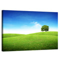 Lone Tree on Rolling Green Hill Wall Art