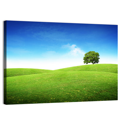 Lone Tree on Rolling Green Hill Wall Art
