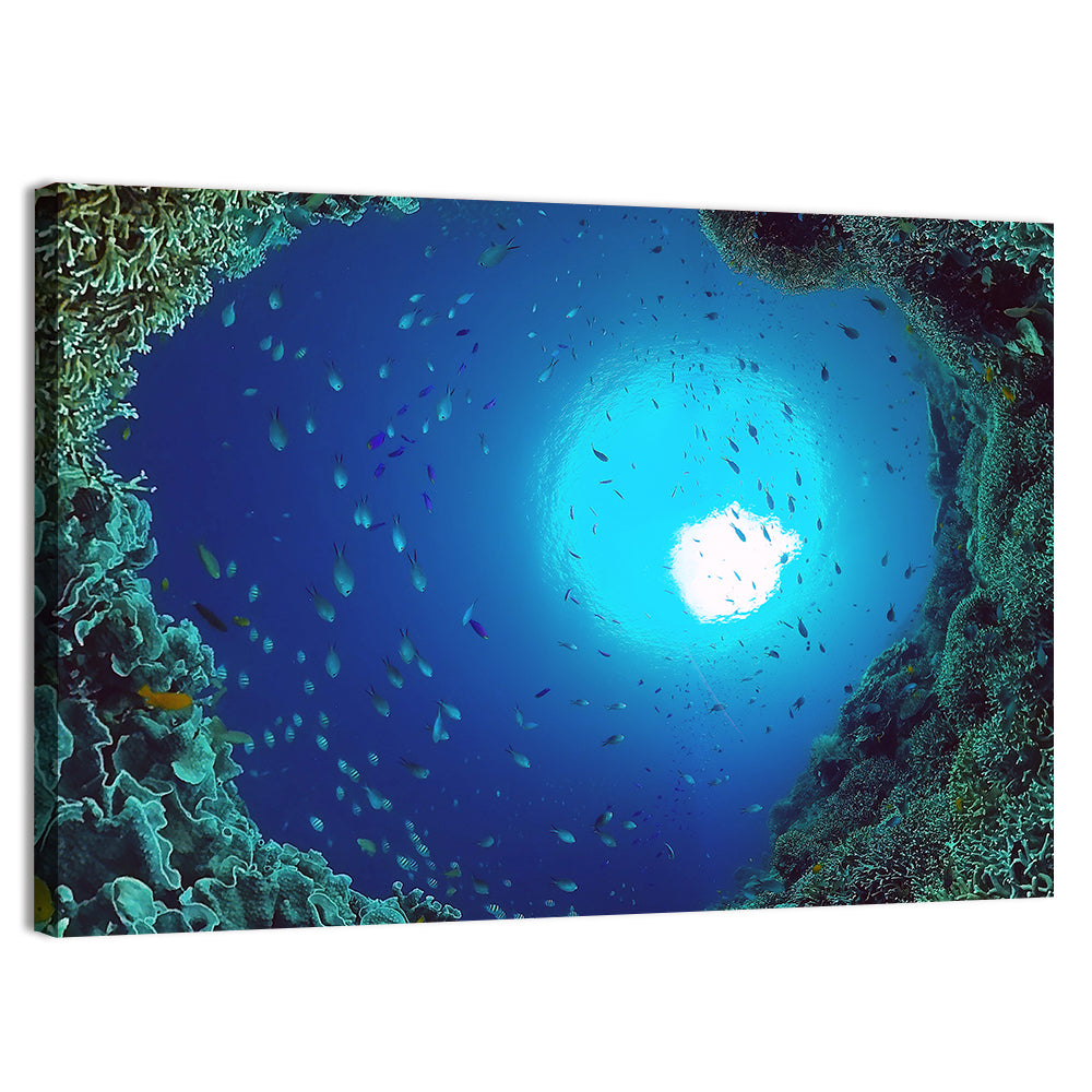 Sunlit Coral Reef with Tropical Fish Wall Art
