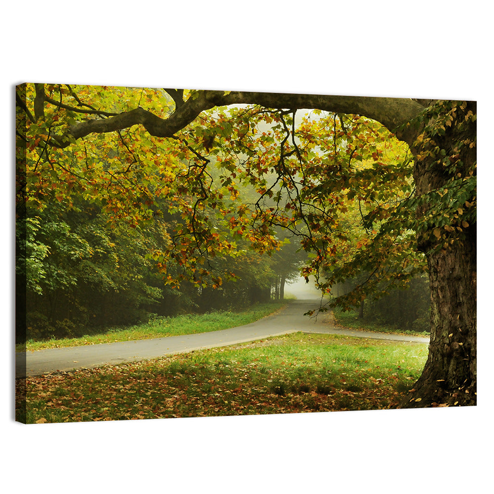 Foggy Autumn Forest Path Wall Art