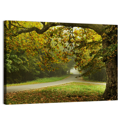Foggy Autumn Forest Path Wall Art