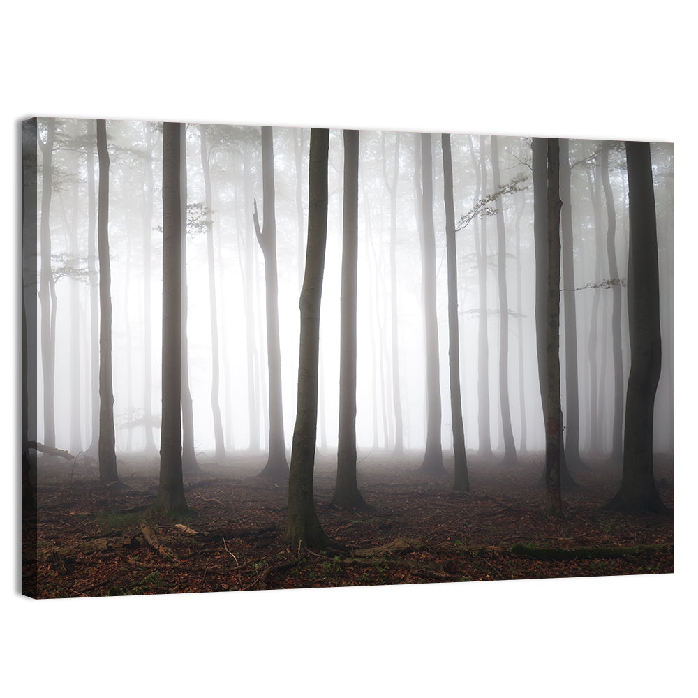 Misty Forest Perspective Wall Art