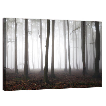 Misty Forest Perspective Wall Art