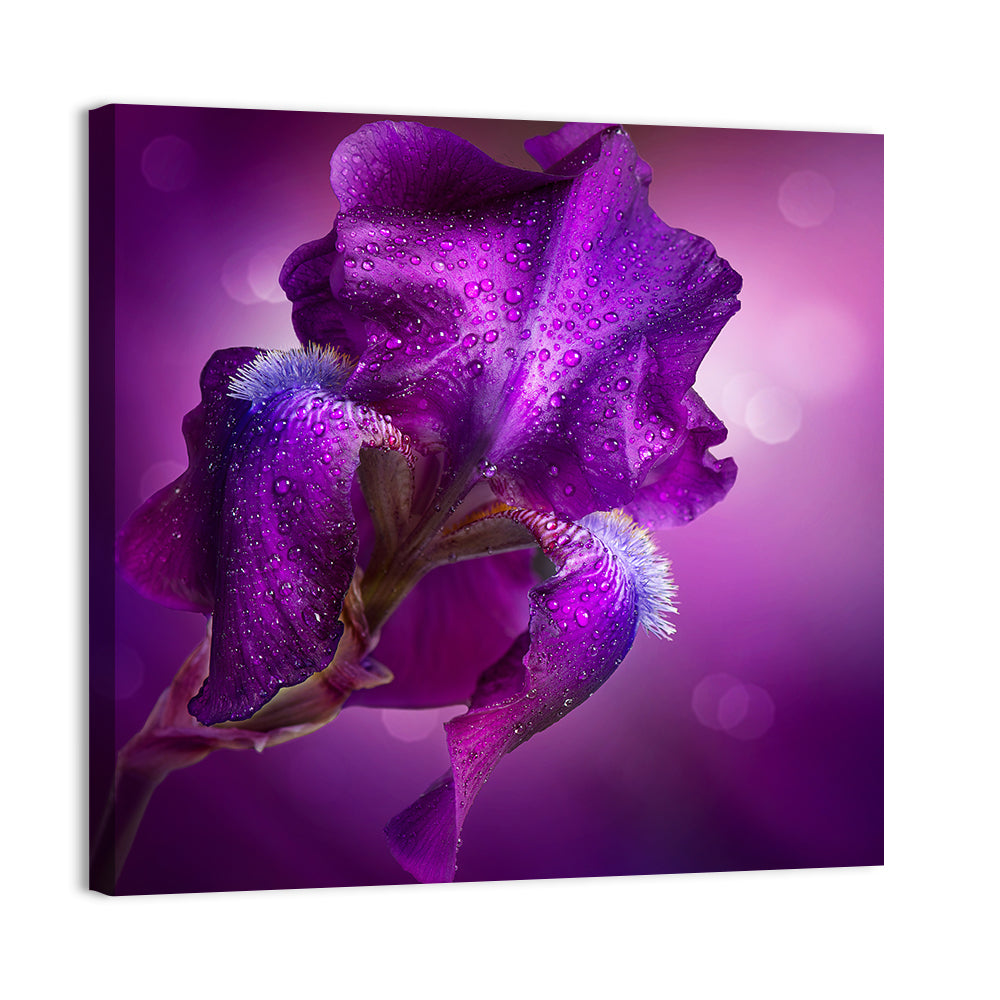 Purple Iris Macro Wall Art