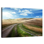 Dirt Road Through Tuscany Wall Art