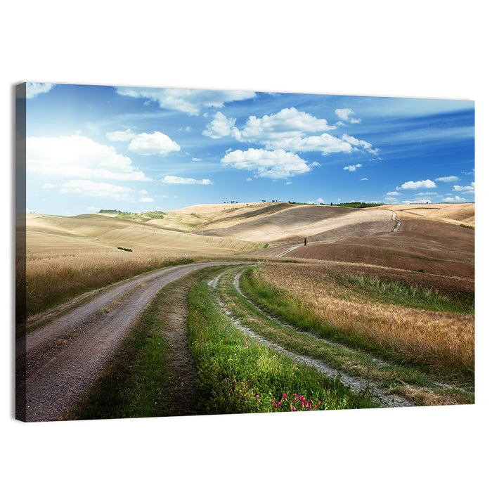 Dirt Road Through Tuscany Wall Art as a canvas print