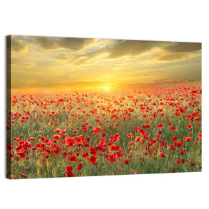 Poppy Field On Sunset Wall Art