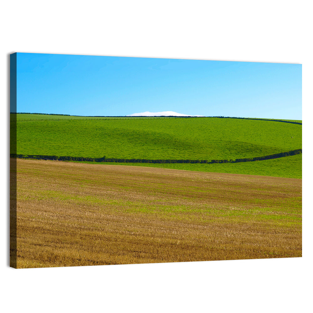 Cardross Hills, Scotland Wall Art