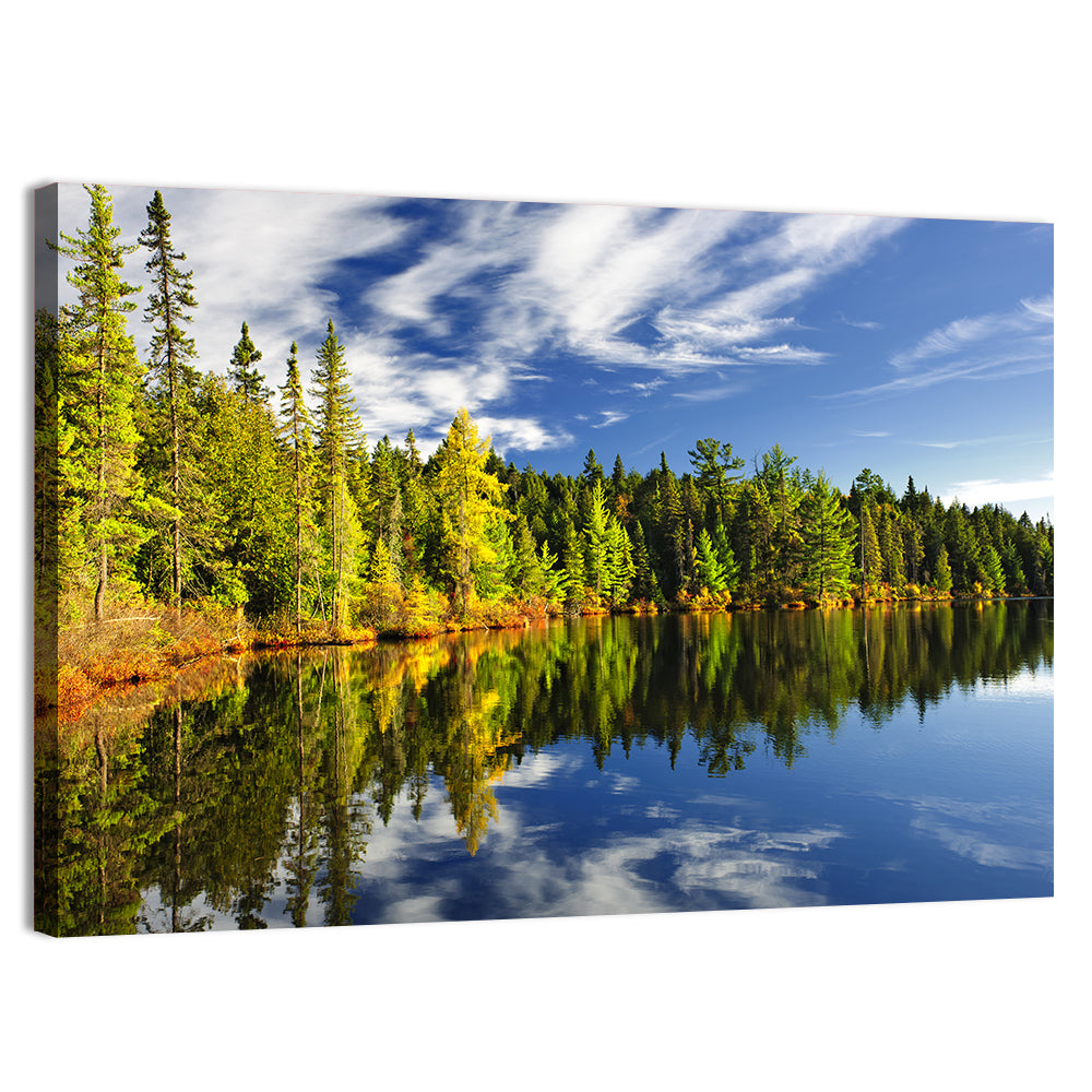 Lake Shore at Algonquin Park Wall Art, canvas print, landscape