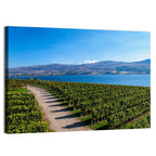 Lake Okanagan Vineyard Path Wall Art