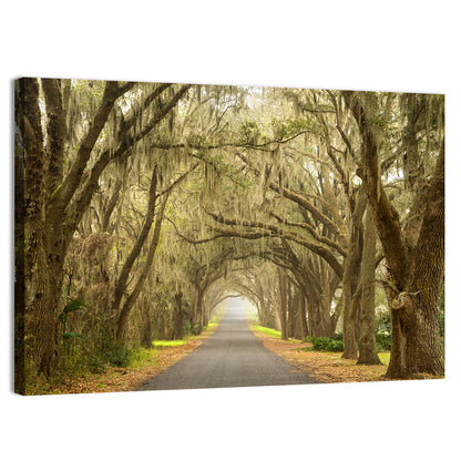 Spanish Moss Country Road Wall Art