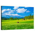 Alpine Valley Meadow, Austria Wall Art