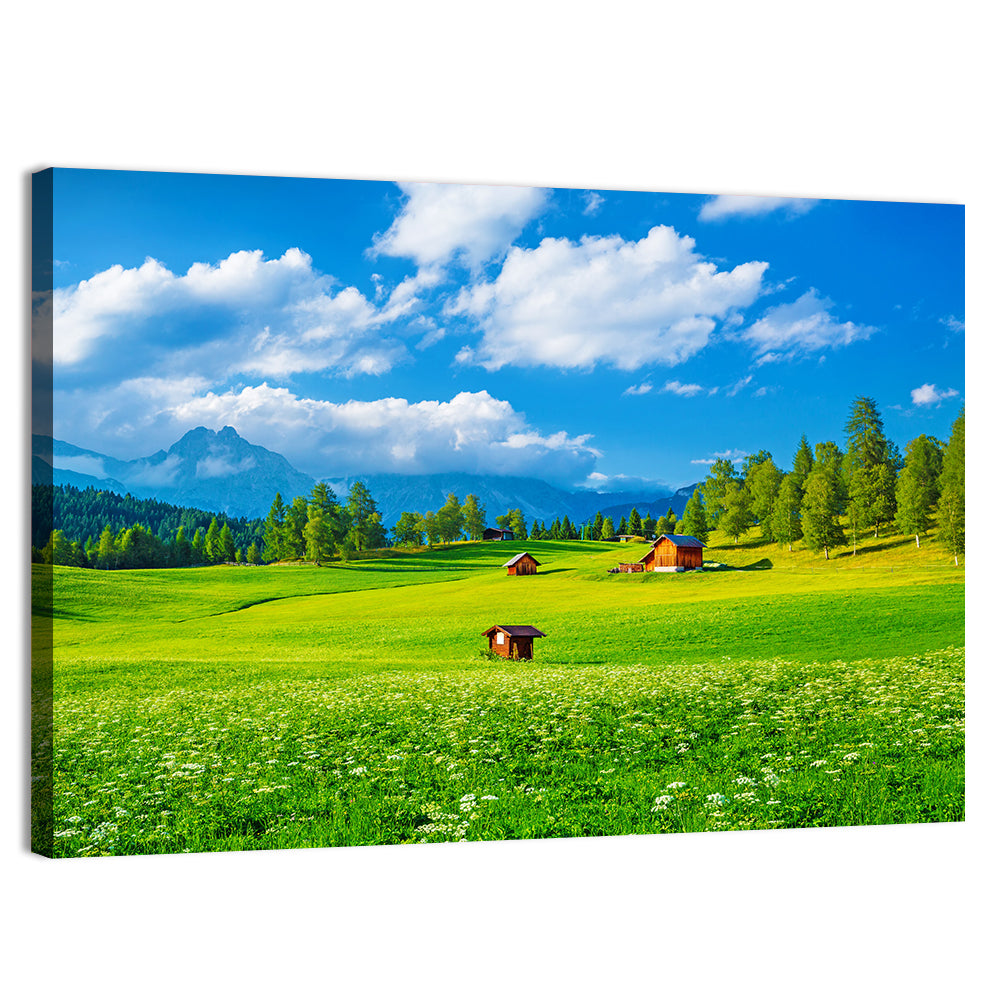 Alpine Valley Meadow, Austria Wall Art, canvas print, landscape