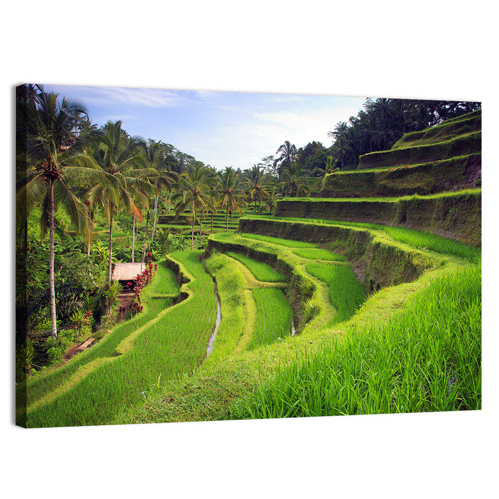 Tegallalang Rice Terraces Wall Art