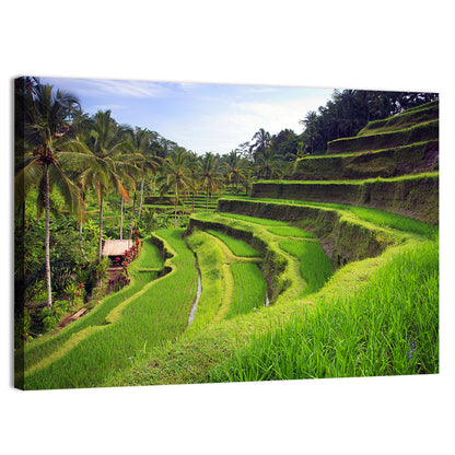 Tegallalang Rice Terraces Wall Art