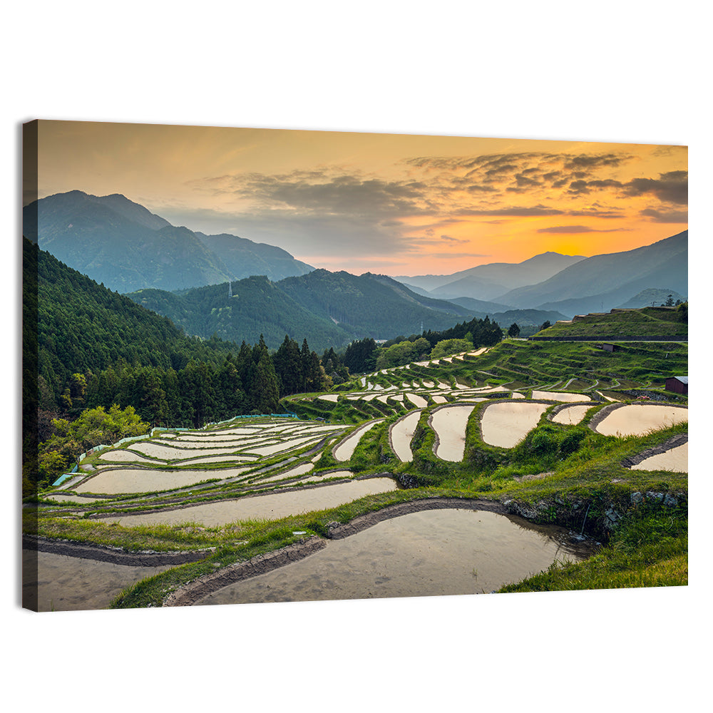 Sunset Over Japanese Rice Terraces Wall Art