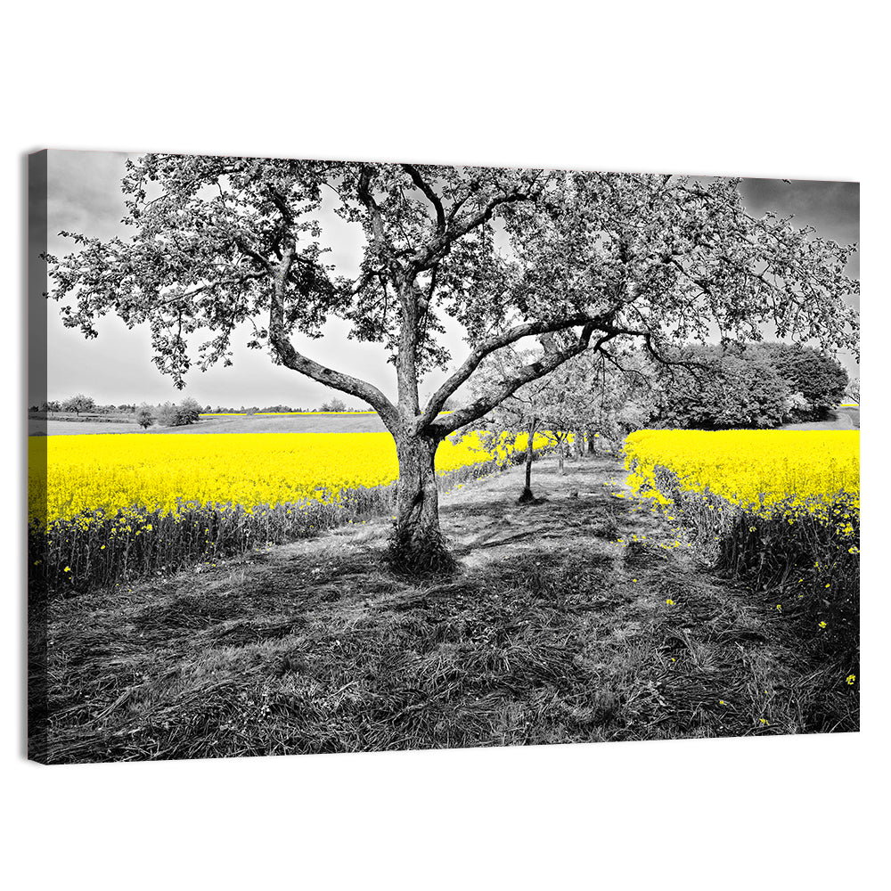 Yellow Oilseed Field with Lone Tree Wall Art
