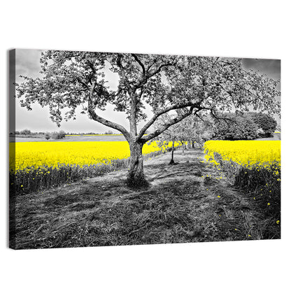 Yellow Oilseed Field with Lone Tree Wall Art