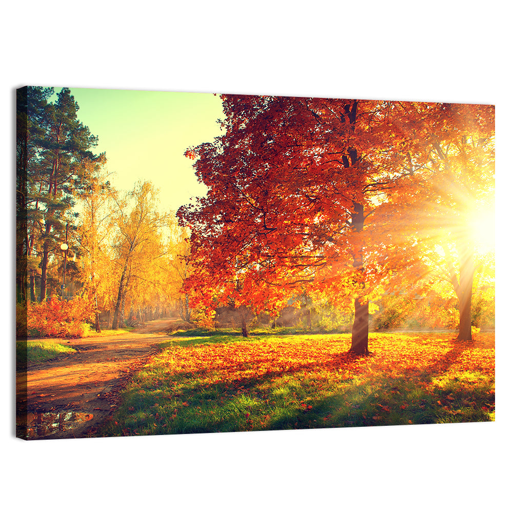 Sunlit Autumn Forest Path Wall Art