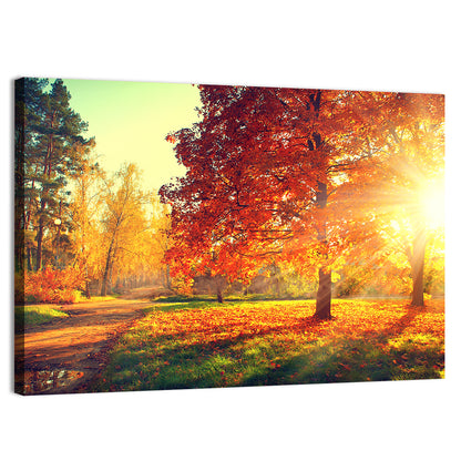 Sunlit Autumn Forest Path Wall Art