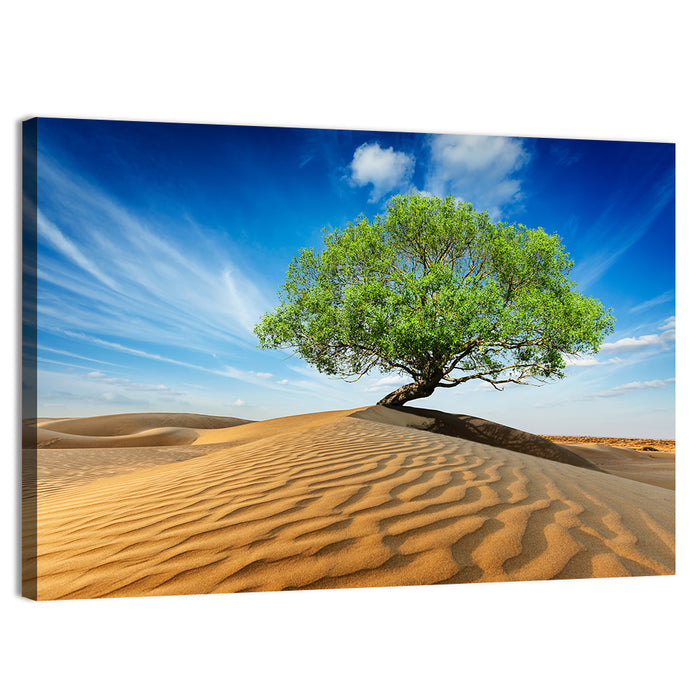 Solitary Green Tree on Sand Dune Wall Art as a canvas print