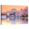Jefferson Memorial with Cherry Blossoms Wall Art