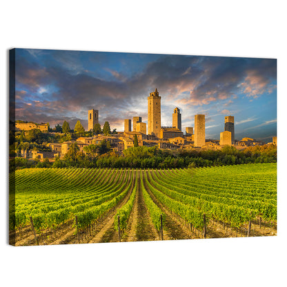Vineyards of San Gimignano Wall Art