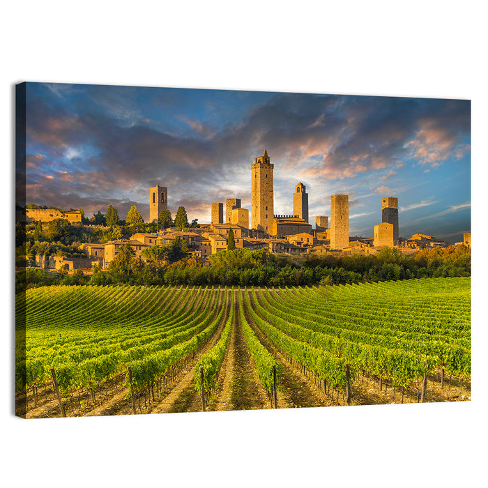 Vineyards of San Gimignano Wall Art as a canvas print