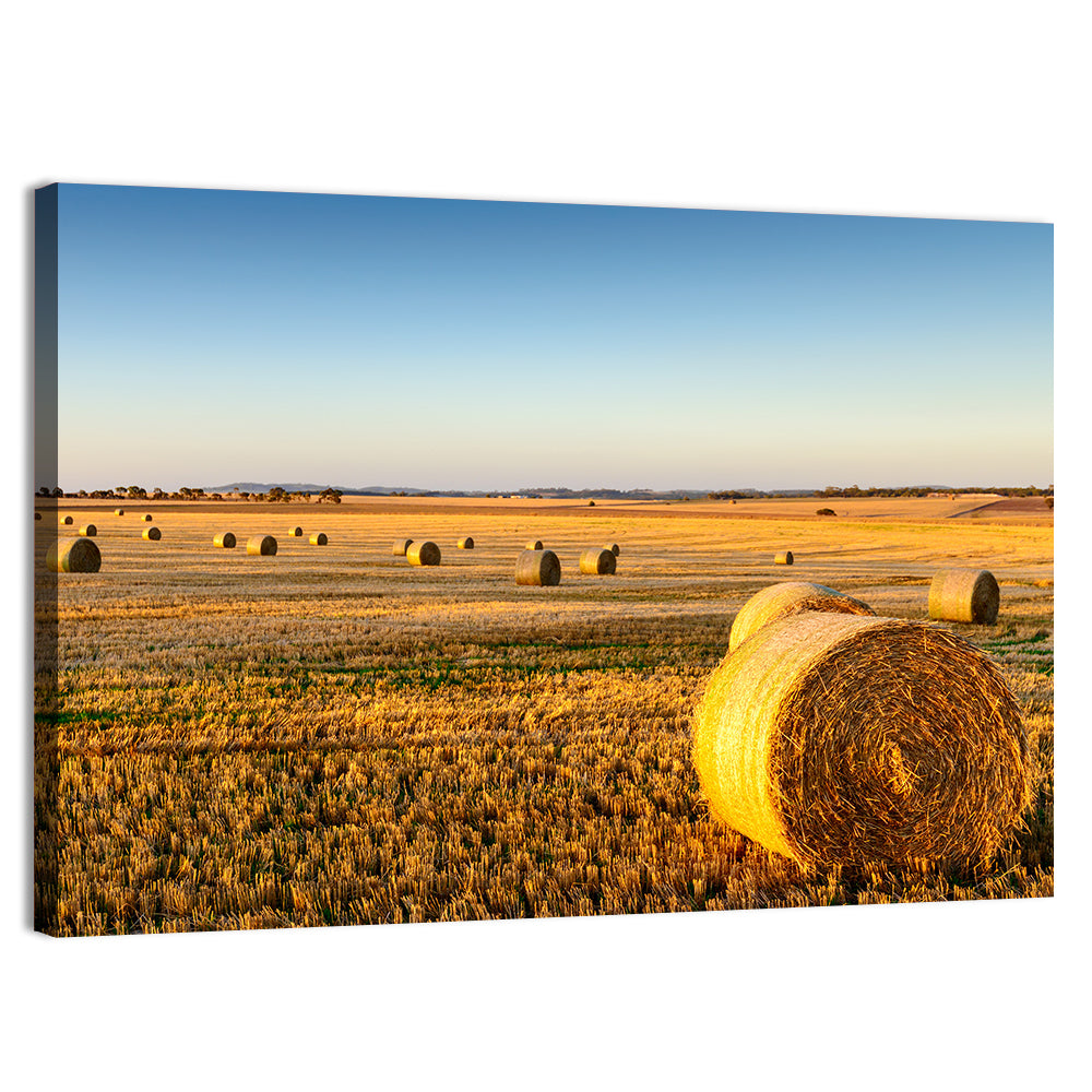 Hay Bales at Sunset Wall Art