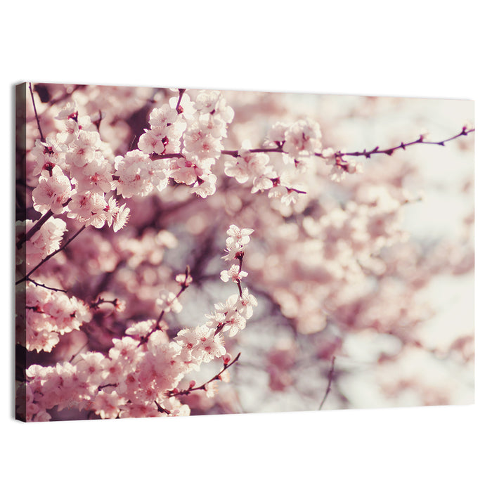 Pink Cherry Blossom Close-up Wall Art as a canvas print