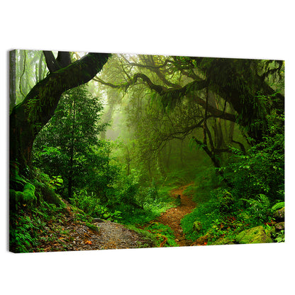 Misty Forest Trail in Nepal Wall Art