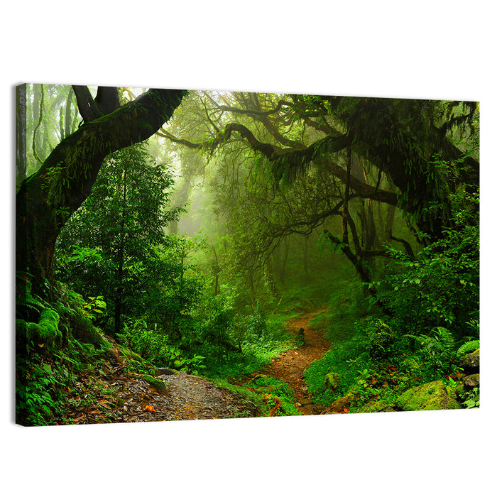 Misty Forest Trail in Nepal Wall Art as a canvas print