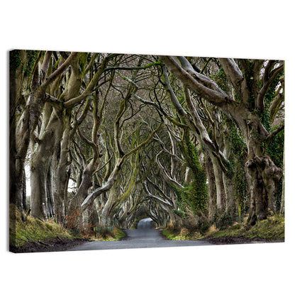 Dark Hedges Tree Tunnel Wall Art
