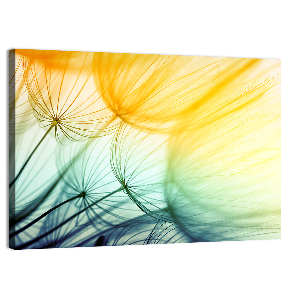 Sunlit Dandelion Seed Macro Wall Art, canvas print, landscape