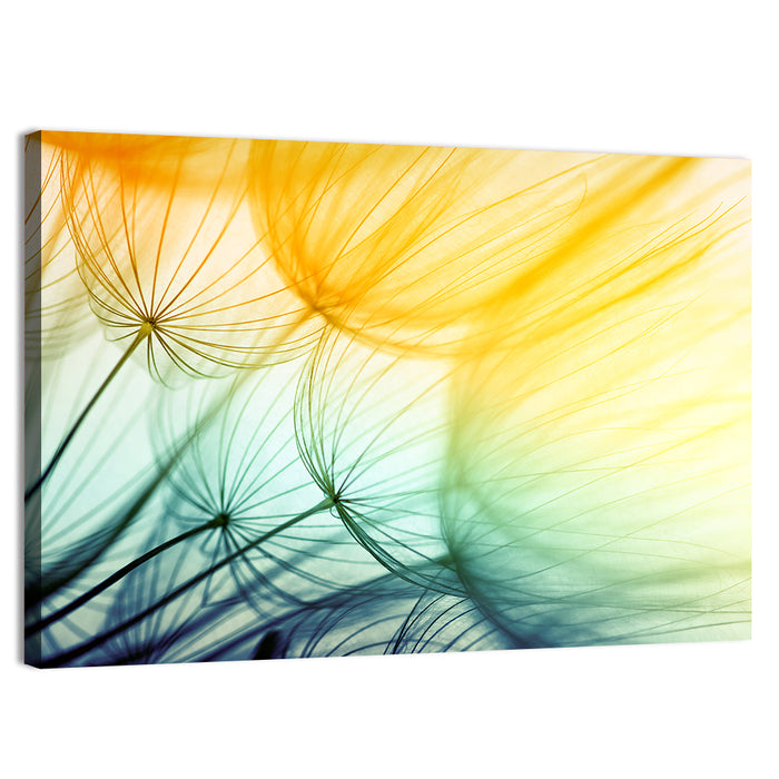Sunlit Dandelion Seed Macro Wall Art as a canvas print