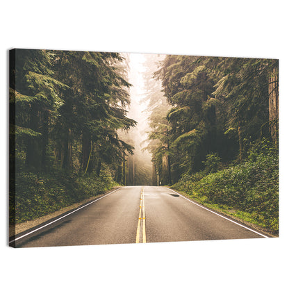 Redwood Highway, Northern California Wall Art